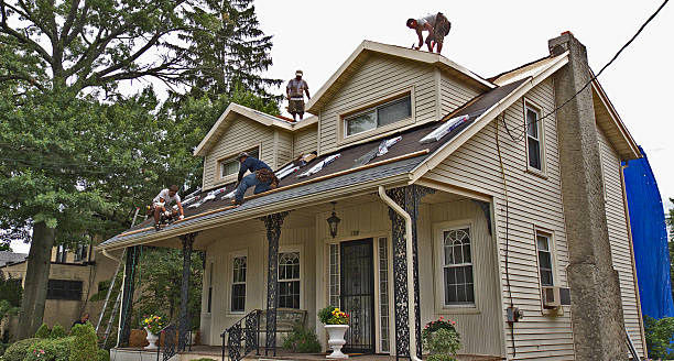 Best Metal Roofing Contractor  in Air Force Academy, CO